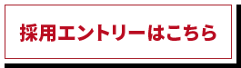 採用エントリーはこちら